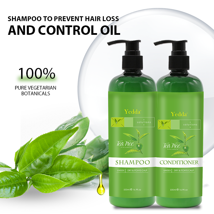 Wholesale Non-public Label Plant-Based mostly Tea Tree Oil Shampoo and Conditioner for Enhanced Scalp Well being - 250ml/500ml