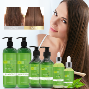 Wholesale Non-public Label Plant-Based mostly Tea Tree Oil Shampoo and Conditioner for Enhanced Scalp Well being – 250ml/500ml